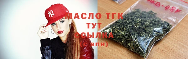 мет Алексин