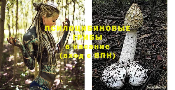 твердый Алексеевка