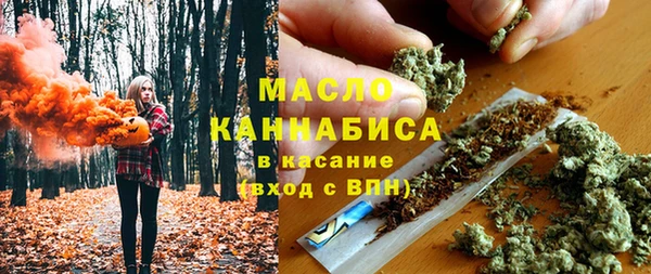 мет Алексин