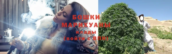 ПСИЛОЦИБИНОВЫЕ ГРИБЫ Сатка