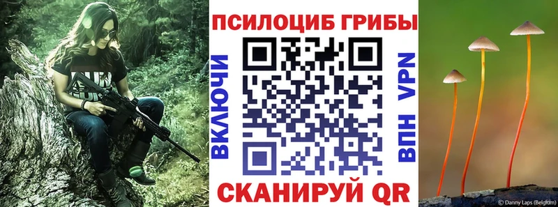 Псилоцибиновые грибы прущие грибы купить Сафоново