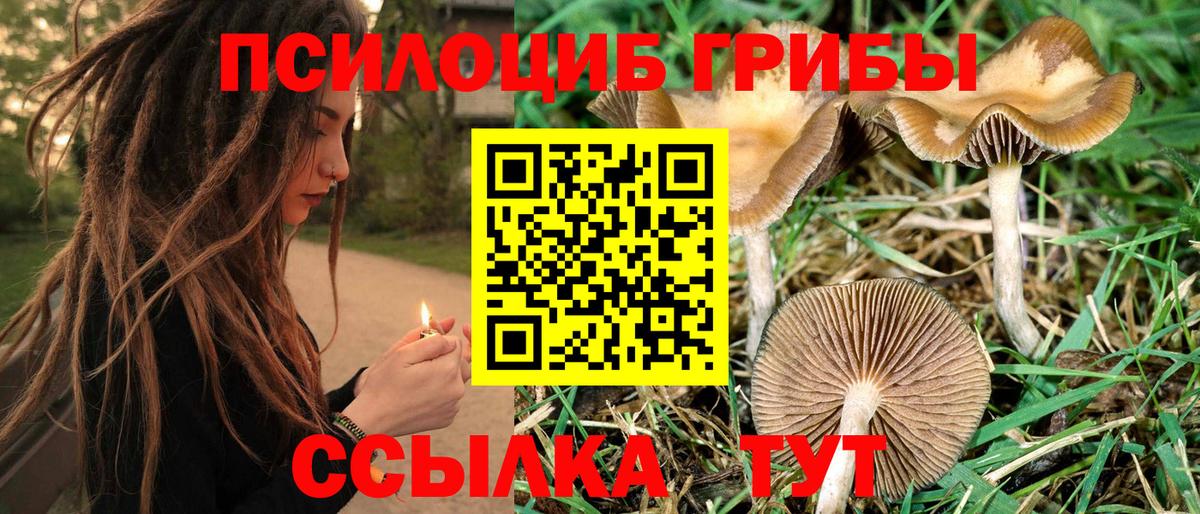 Галлюциногенные грибы мухоморы Сафоново