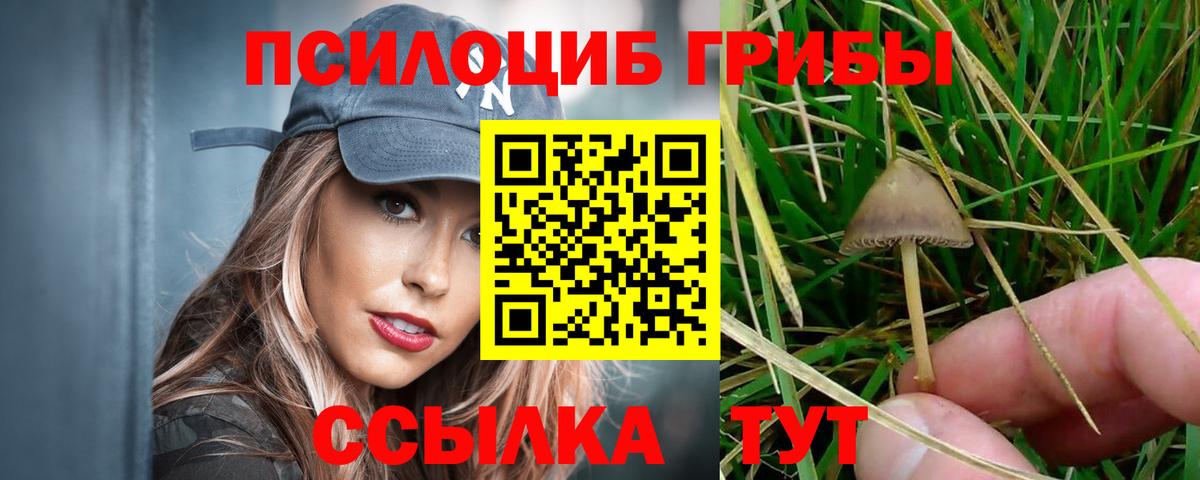 Псилоцибиновые грибы мицелий  Псилоцибиновые грибы Psilocybine cubensis  Вход с VPN  Сафоново 