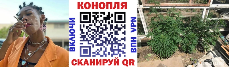 Конопля план  купить закладку  Сафоново 